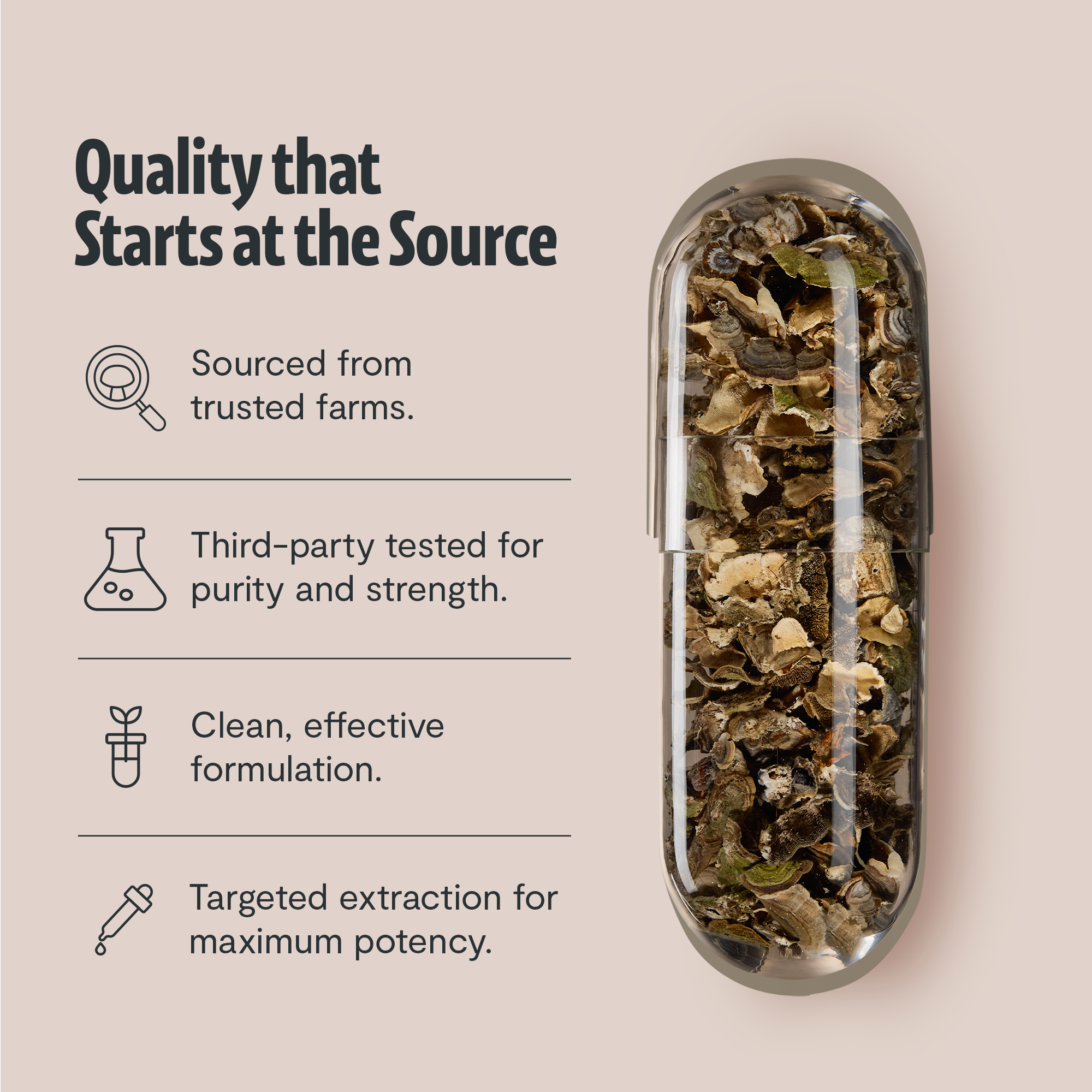 Turkey Tail Mushroom Extract Capsules by FreshCap Mushrooms