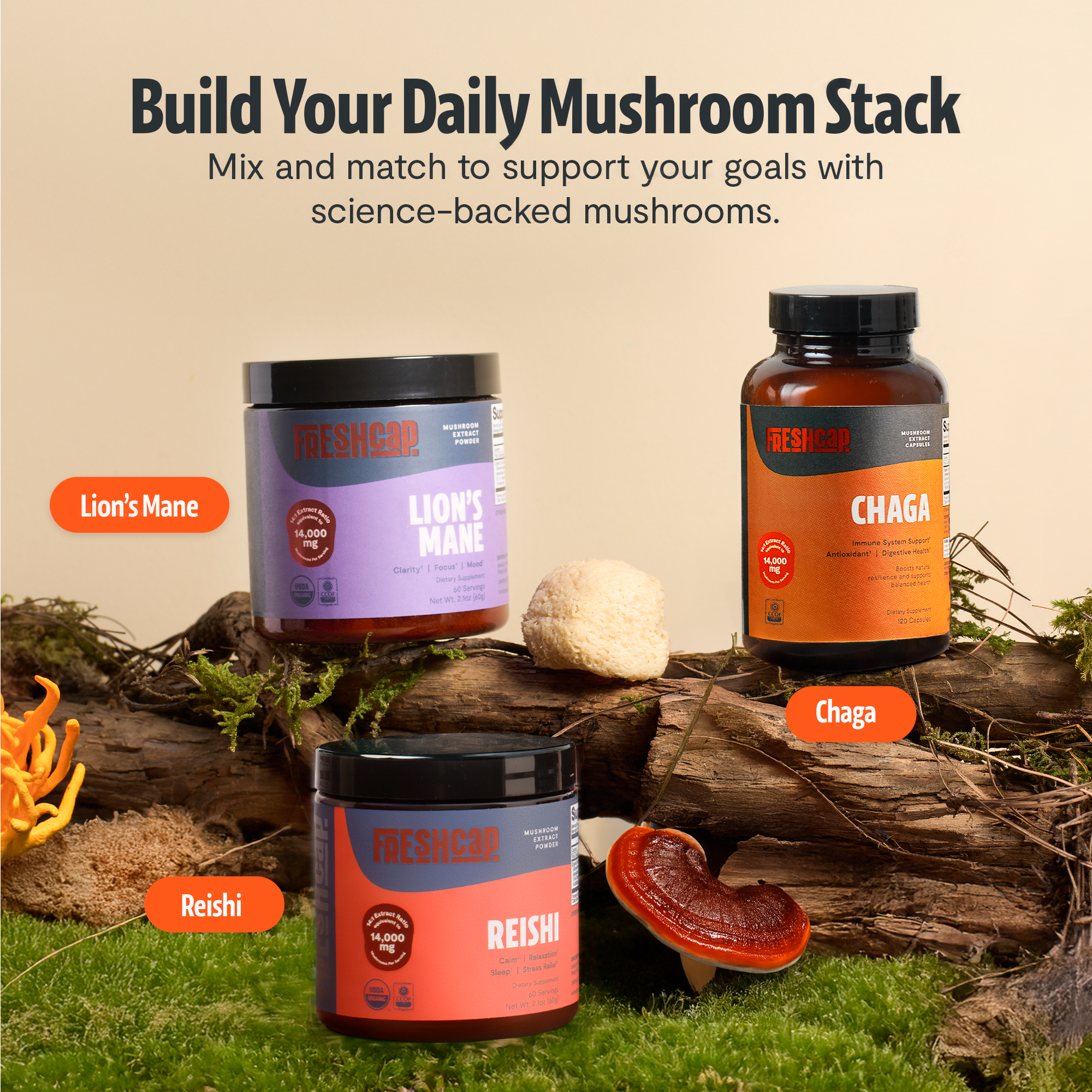 Chaga Mushroom Extract Capsules DestGlow