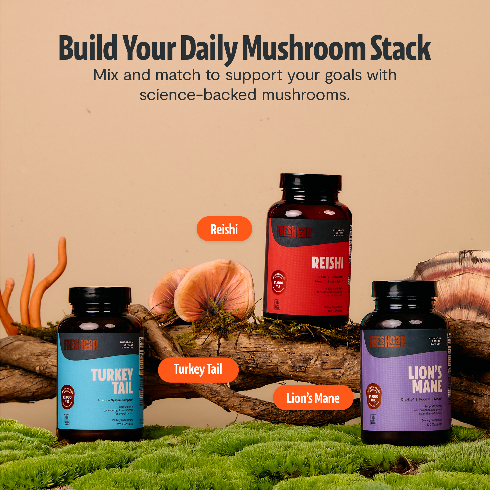 Organic Turkey Tail Mushroom Capsules by FreshCap Mushrooms