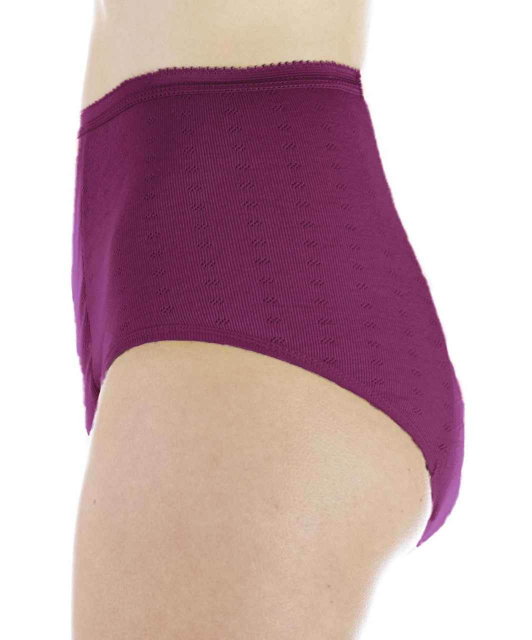 Super Absorbency Full Cut Panty (SKU: HDL100)