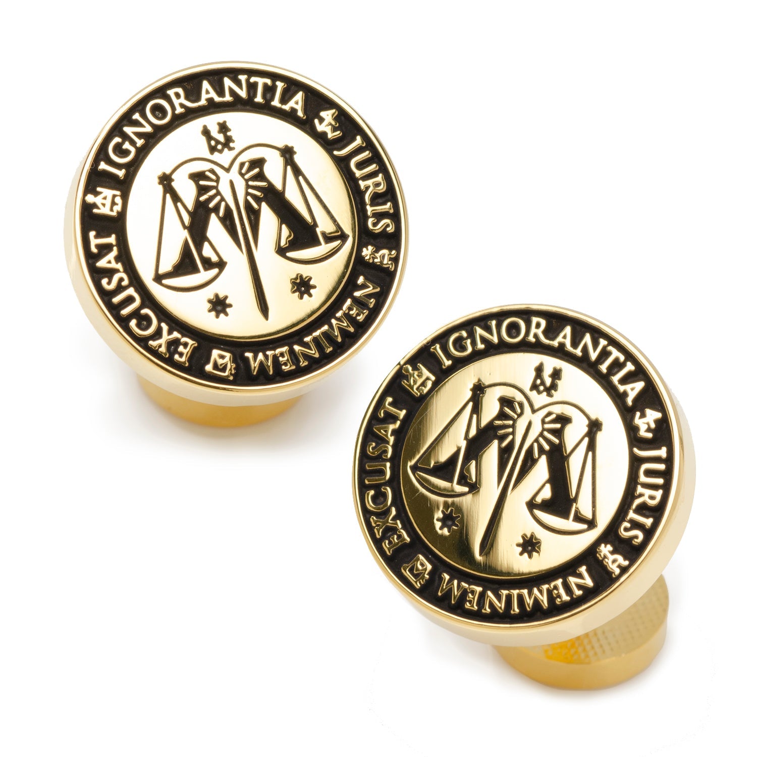 Harry Potter Ministry of Magic Wizengamot Cufflinks by Cufflinks.com