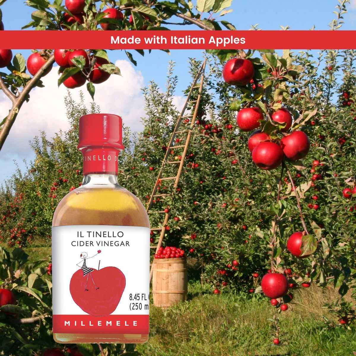 IL TINELLO, Apple Cider Vinegar Aceto di Mele, (8.45 fl oz) 250ml