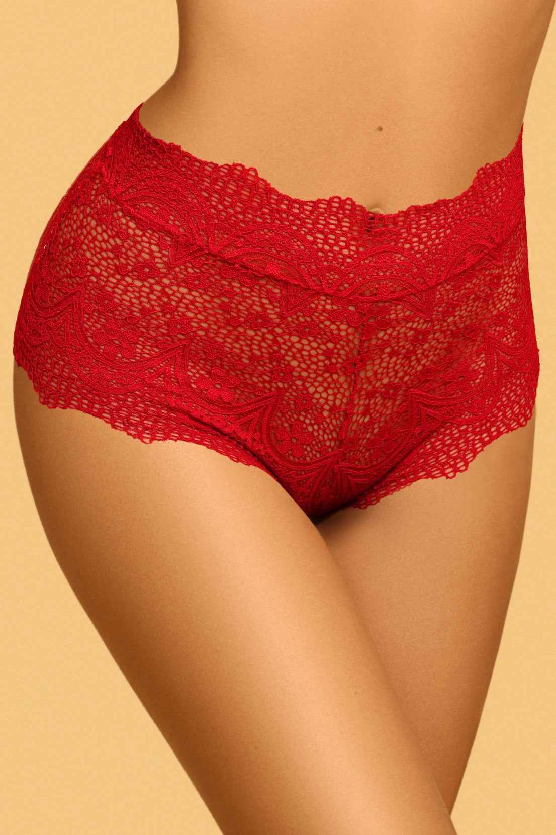 Sexy Lace Up Panty