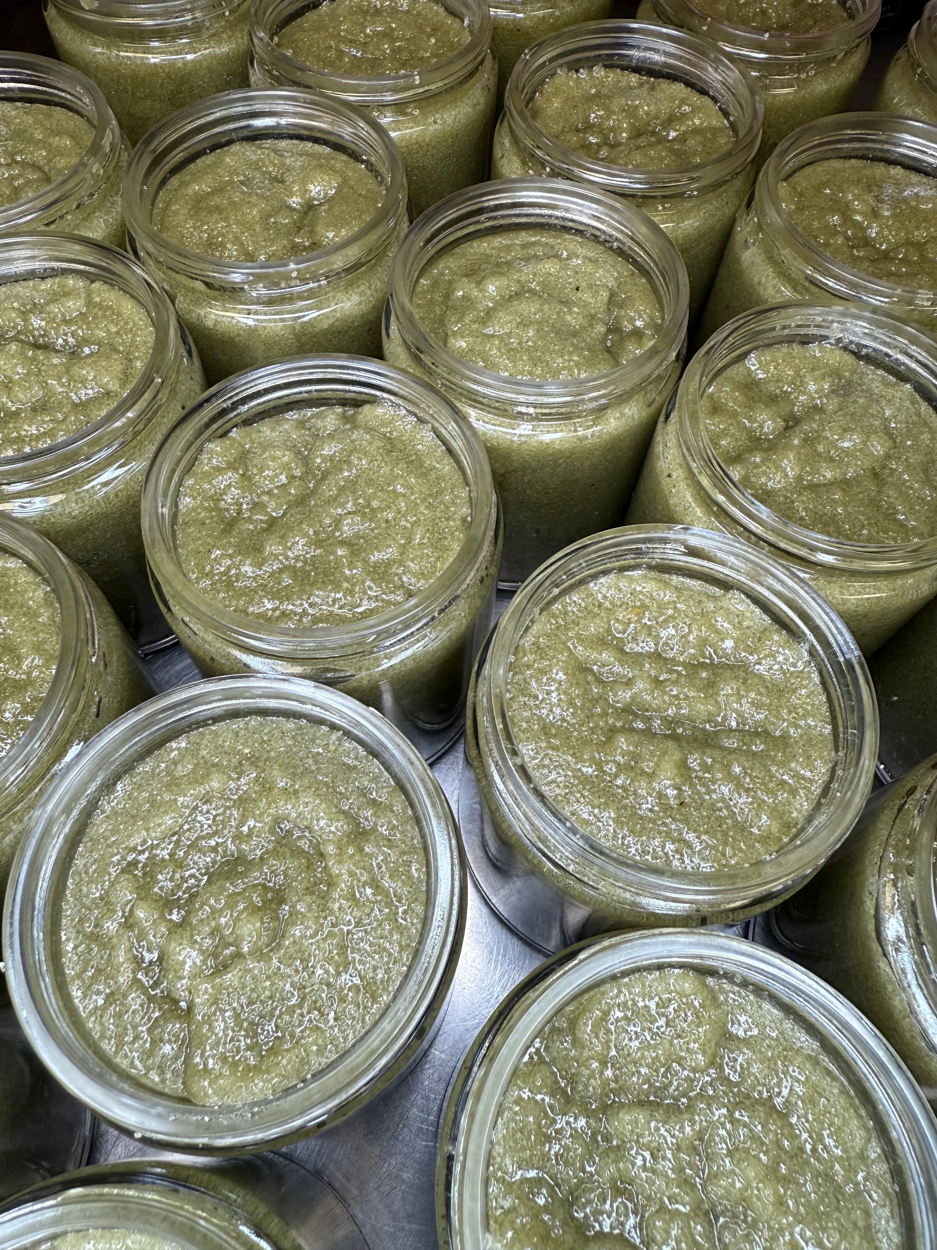Eucalyptus and Lemon Sugar Scrub | Gentle by MION Artisan Soap Co.