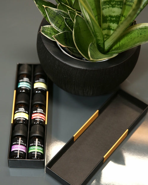 Essential Oils Set - 6 Pack 100% Natural Aromatherapy Collection