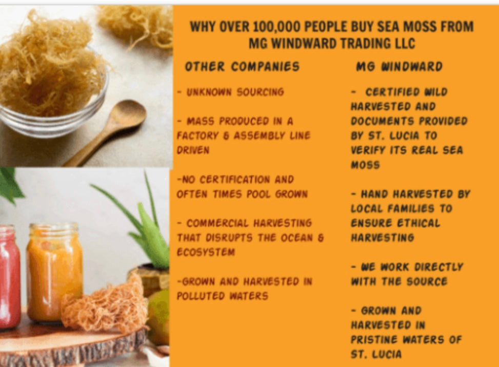 Pure Certified Wild Harvested Full Spectrum Organic Raw Sea Moss by Seamoss Global