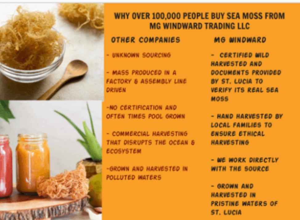 Pure Certified Wild Harvested Full Spectrum Organic Raw Sea Moss