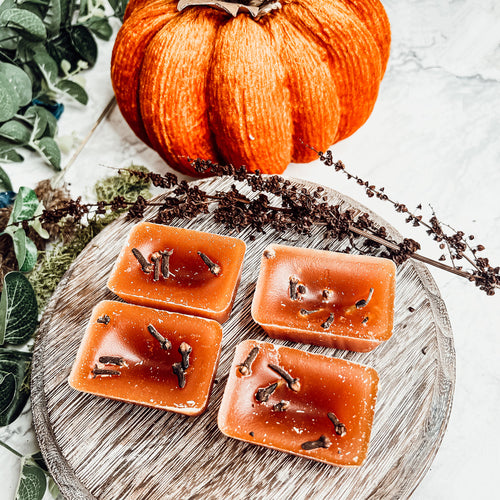 Fall Clove Scented Candle - Warm Autumn Spice Home Fragrance