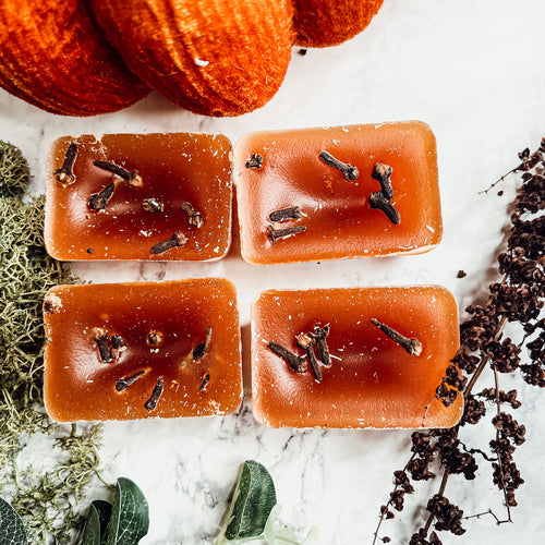 Fall Clove Scented Candle - Warm Autumn Spice Home Fragrance
