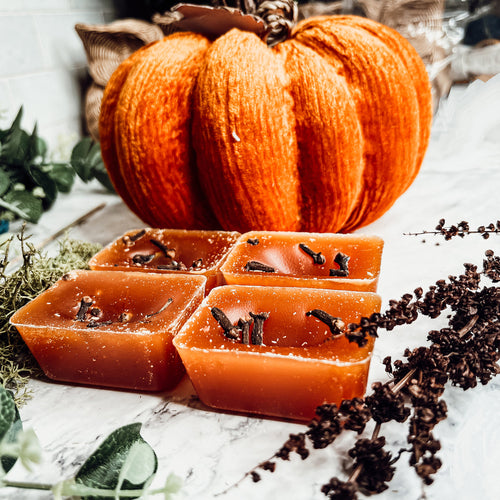 Fall Clove Scented Candle - Warm Autumn Spice Home Fragrance