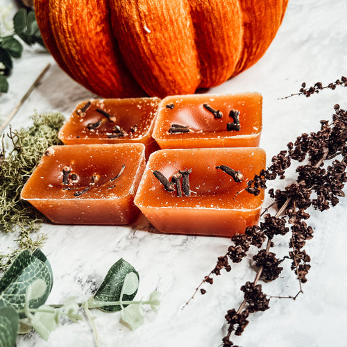 Fall Clove Scented Candle - Warm Autumn Spice Home Fragrance