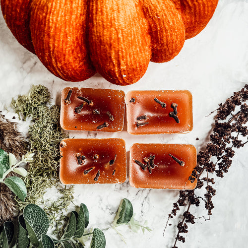 Fall Clove Scented Candle - Warm Autumn Spice Home Fragrance