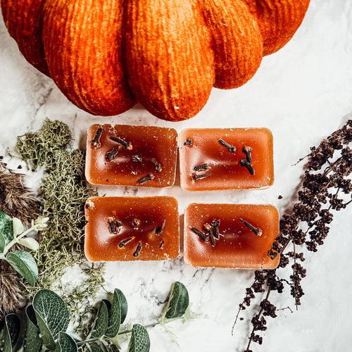 Fall Clove Scented Candle - Warm Autumn Spice Home Fragrance