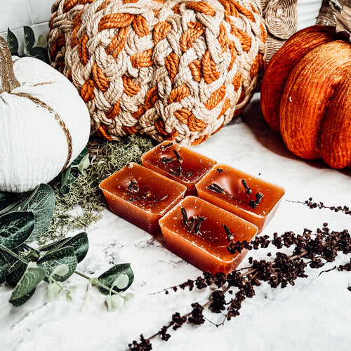 Fall Clove Scented Candle - Warm Autumn Spice Home Fragrance