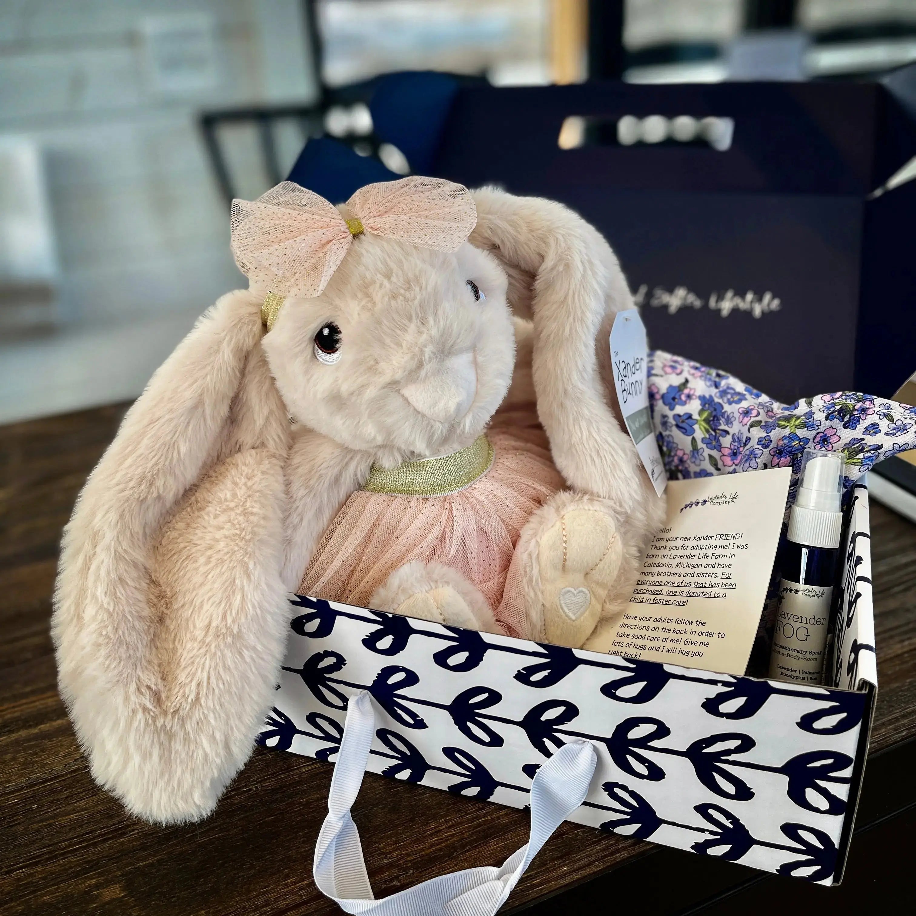 Xander Stuffed Bunny Gift Set - With Clothing & More by Lavender Life Company