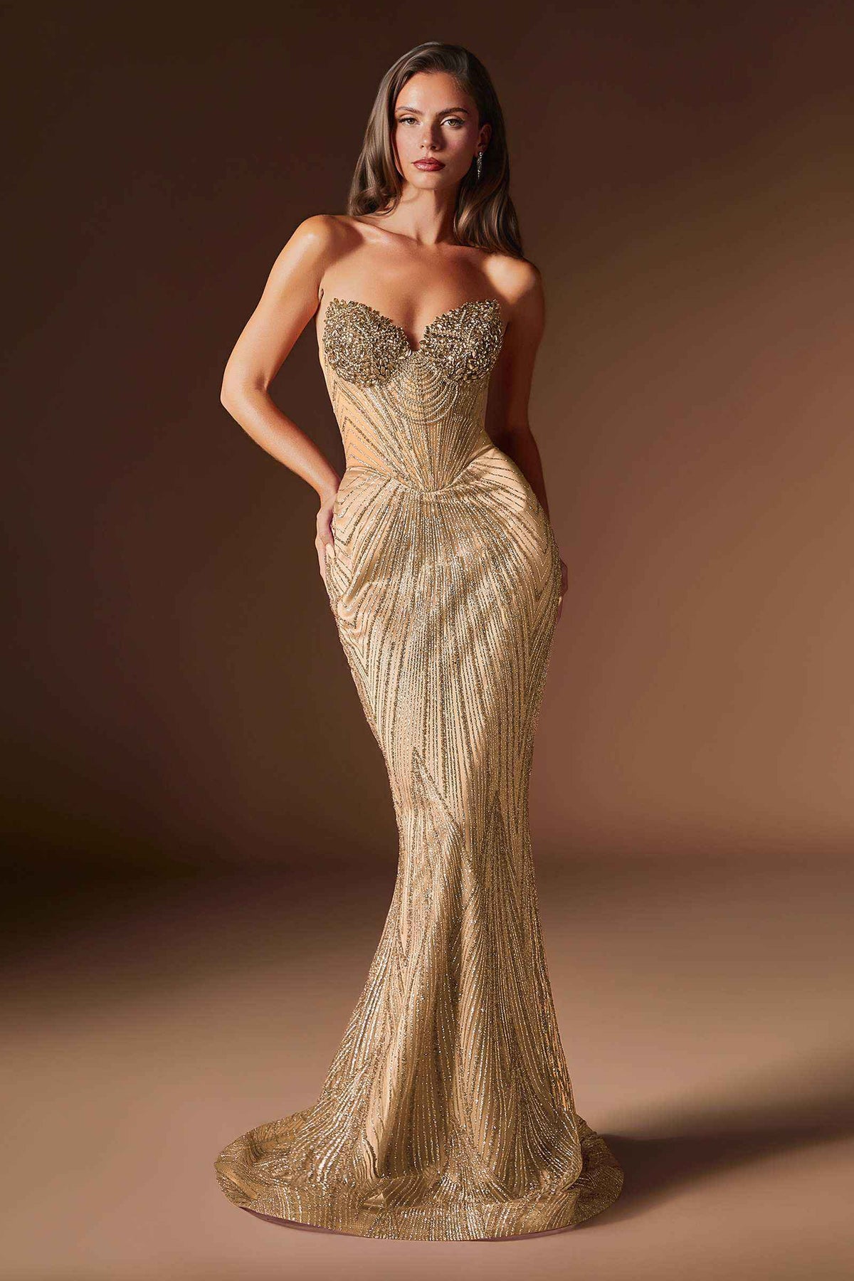 CLEARANCE - Ladivine J903 Crystal Sheer Corset Bodice Fitted Gold Gown (Size 6) DestGlow