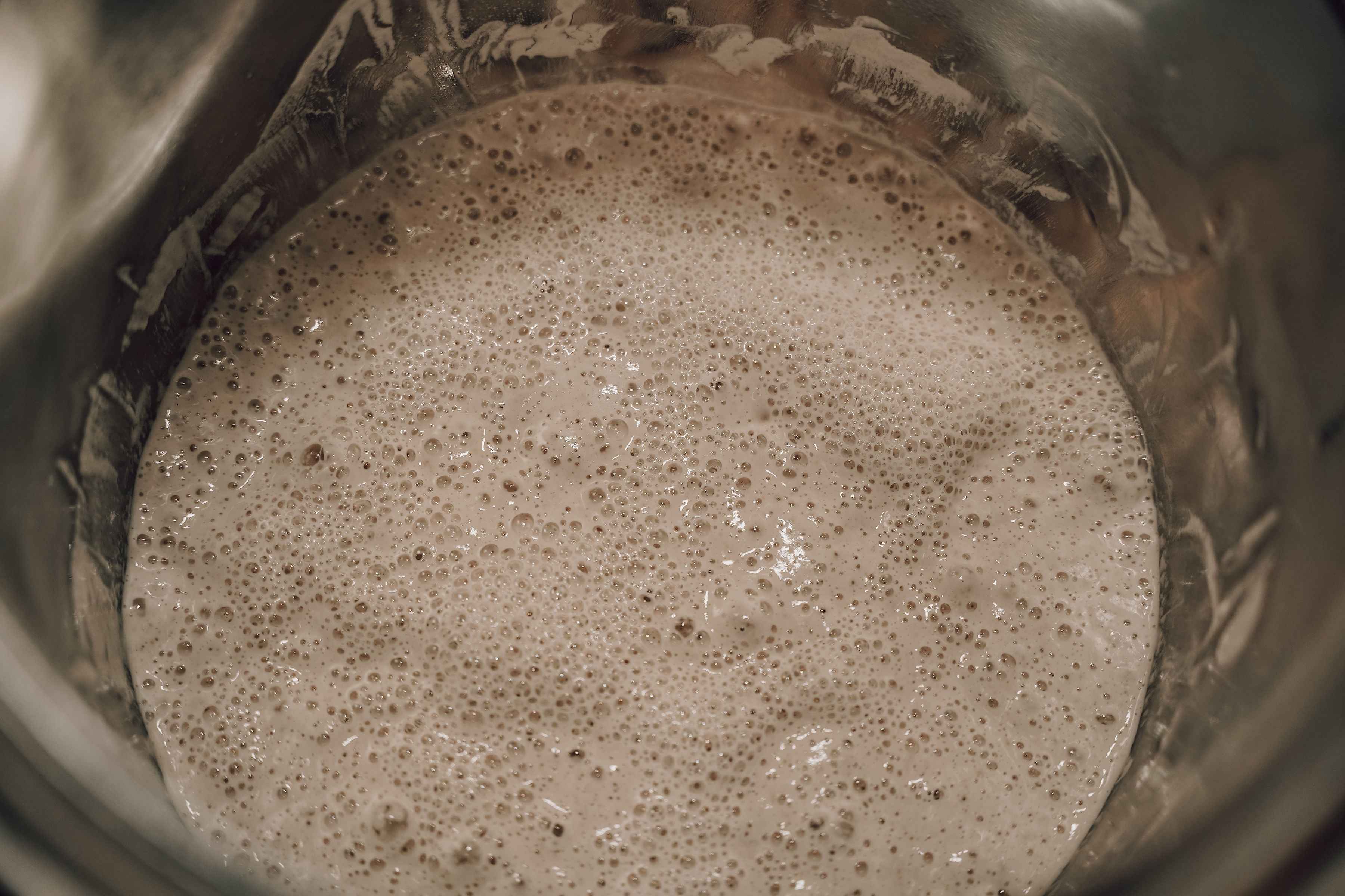 Onic Brands Sourdough Starter