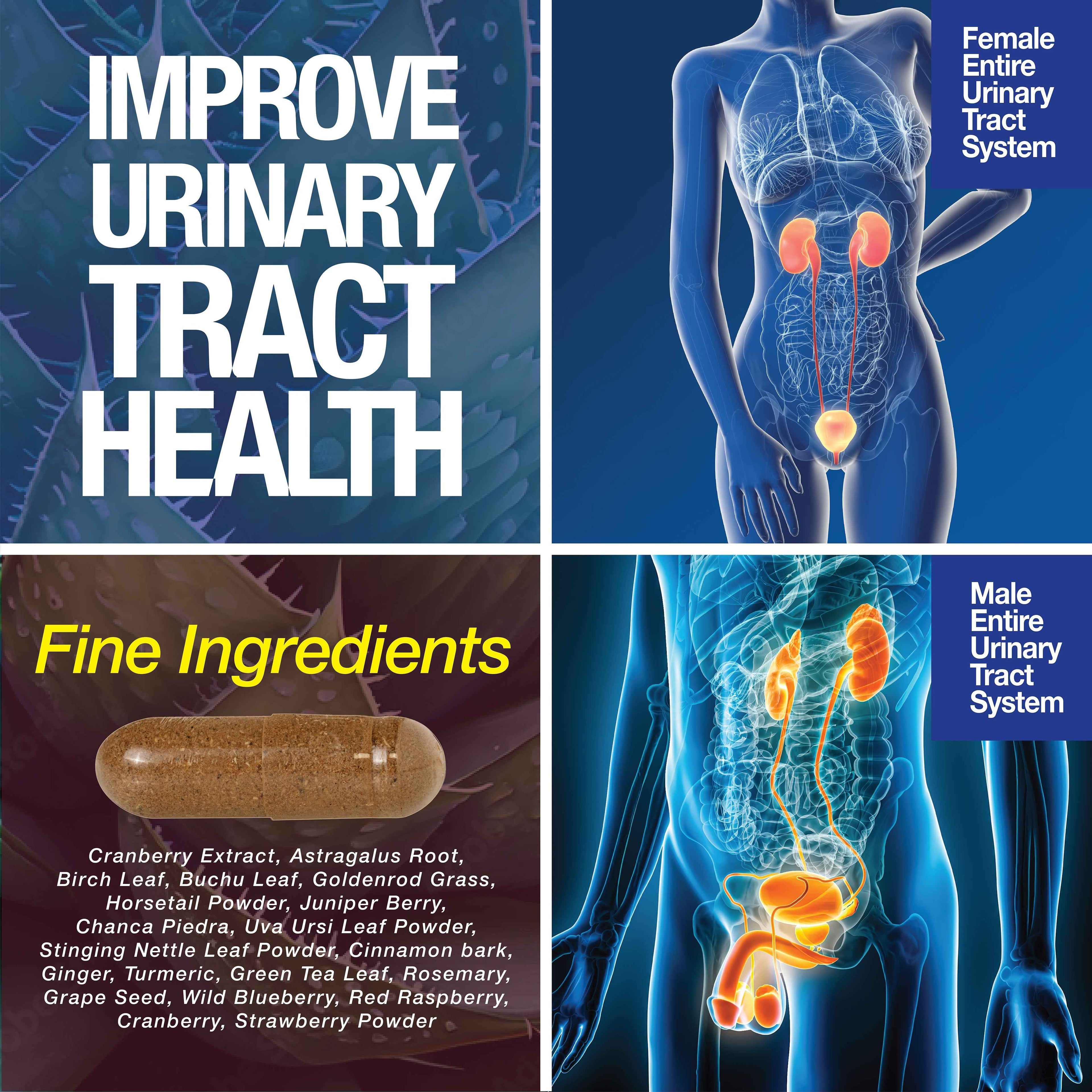 Kidney Support Cleanse Detox & Repair -120 Capsules - Cranberry & Astragalus Root Pills by Saint Mingiano - Supplements & Wellness Dedicated to Holistic Health
