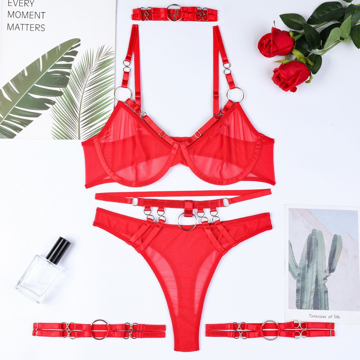 Obsession Strapped 4 Piece Sheer Lingerie Set by Lingerie By Coco