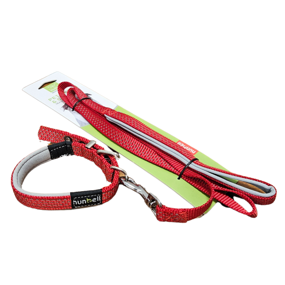 Pet Leash & Collar Set DestGlow