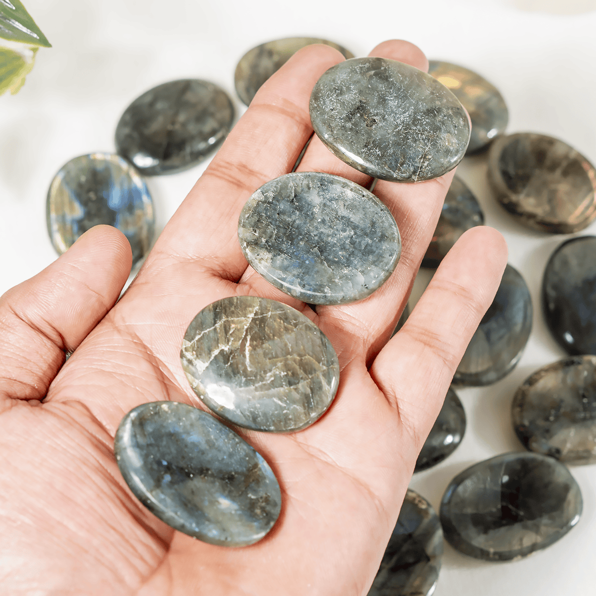 Labradorite Pocket Stones (Synchronicity and Protection) DestGlow