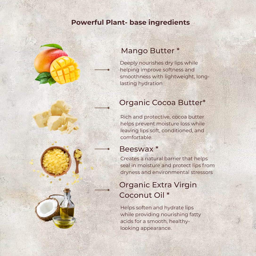 Lip Balm | Made with Cocoa & Mango Butter by MION Artisan Soap Co.