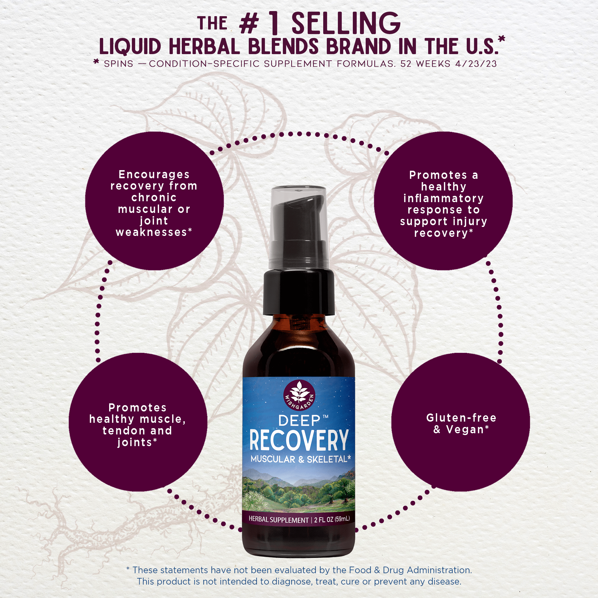 Deep Recovery Muscular & Skeletal by WishGarden Herbs