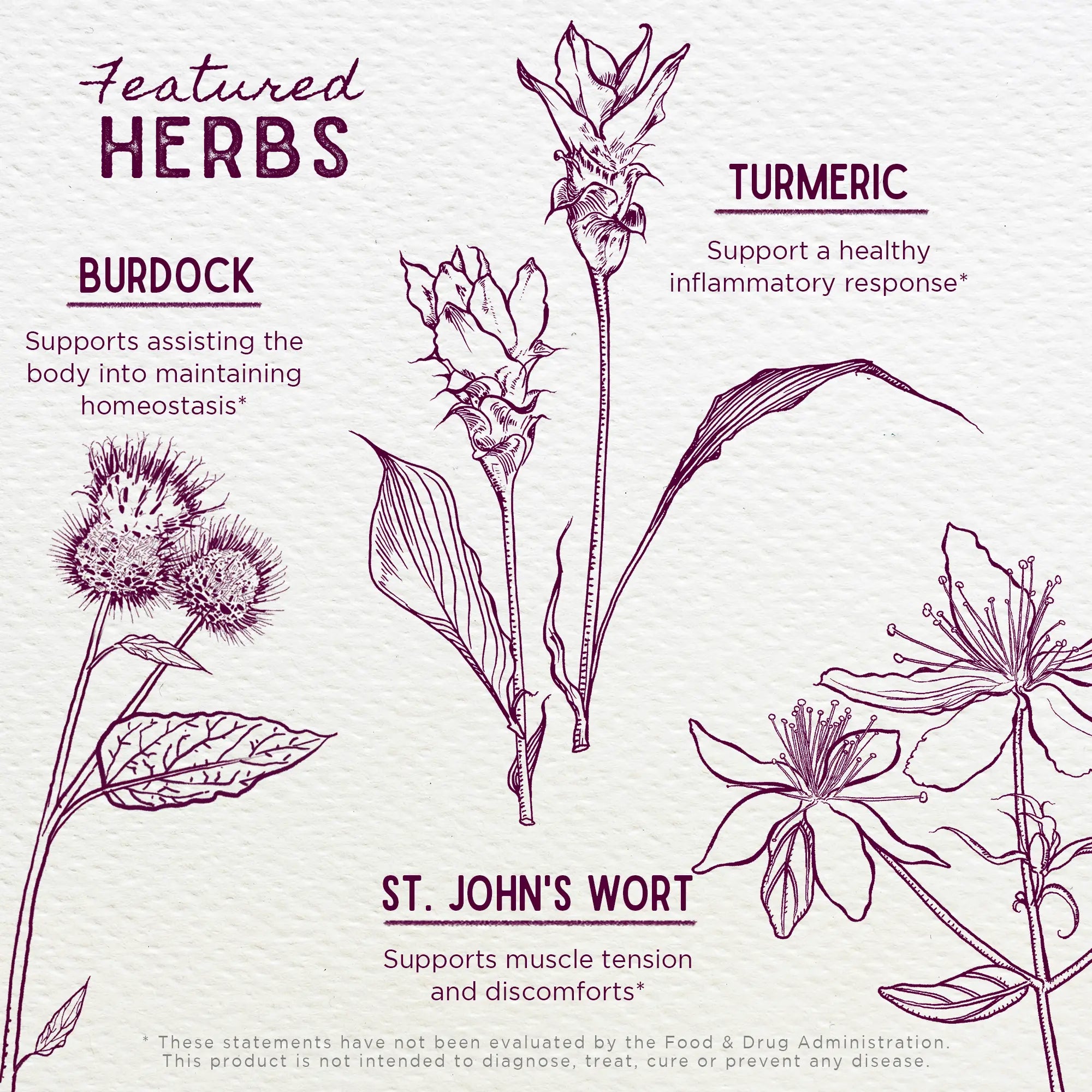 Deep Recovery, Muscular & Skeletal by WishGarden Herbs
