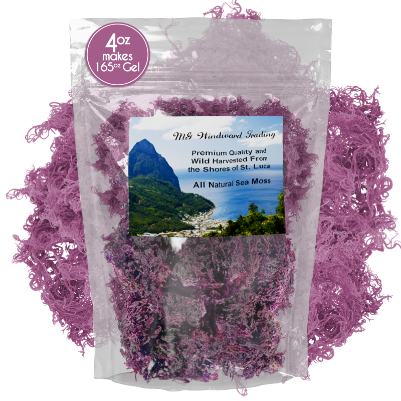 Pure Certified Wild Harvested Organic Purple Raw Sea Moss by Seamoss Global