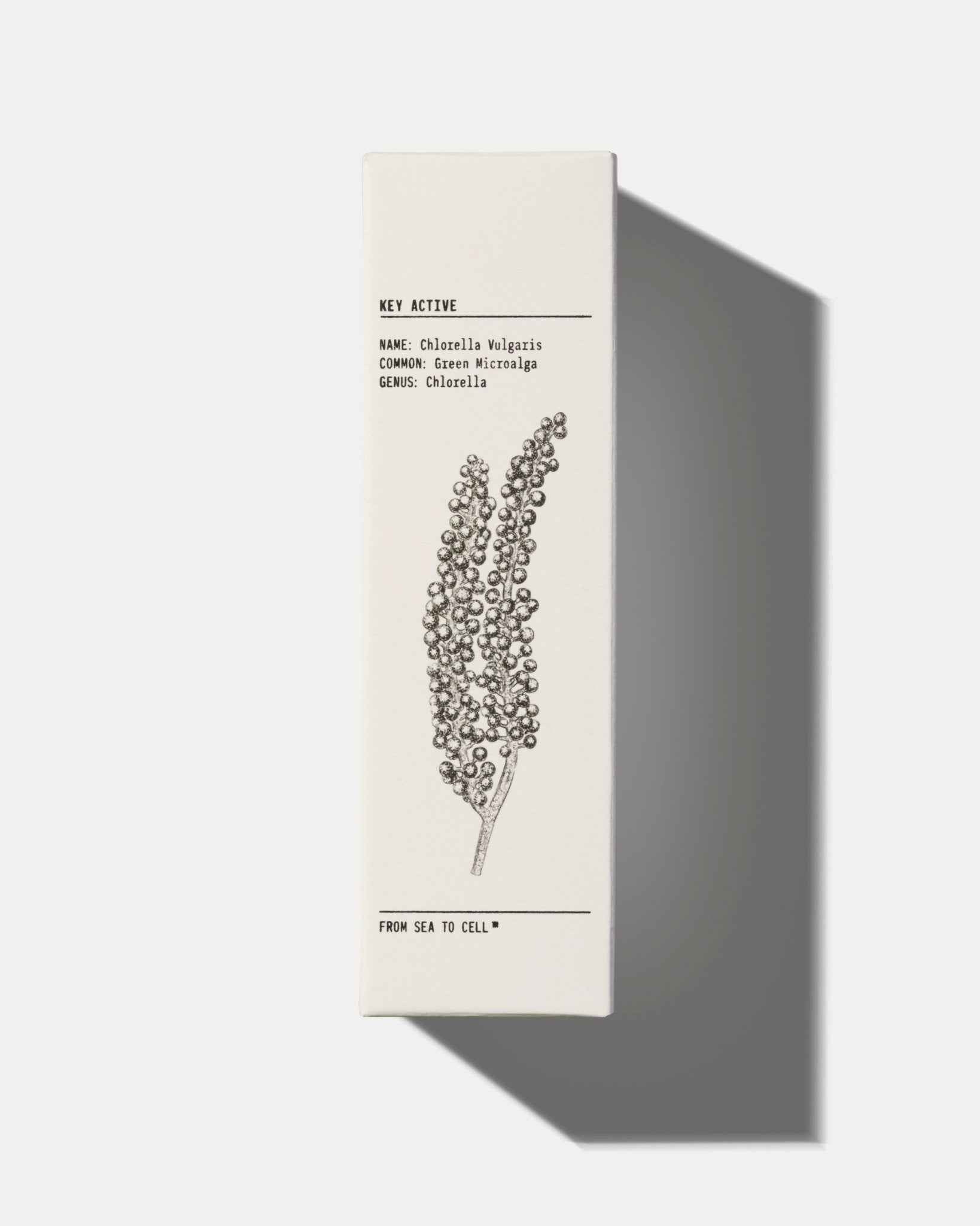 MATTIFYING MOISTURISER