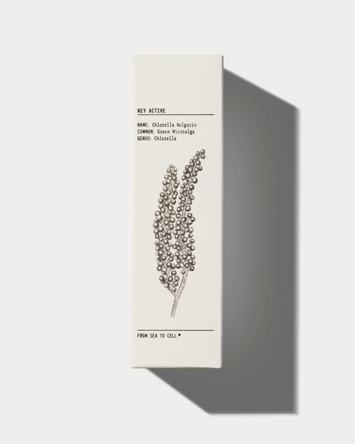 MATTIFYING MOISTURISER DestGlow