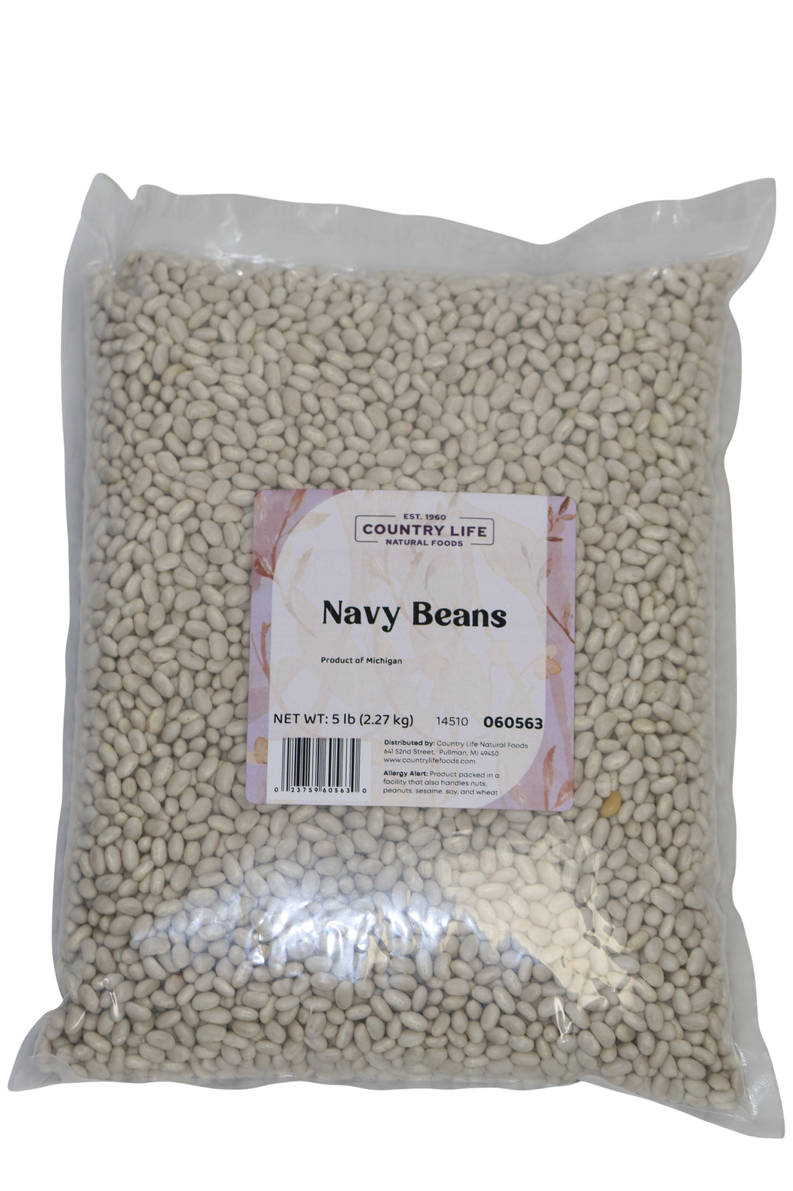 Navy Beans DestGlow