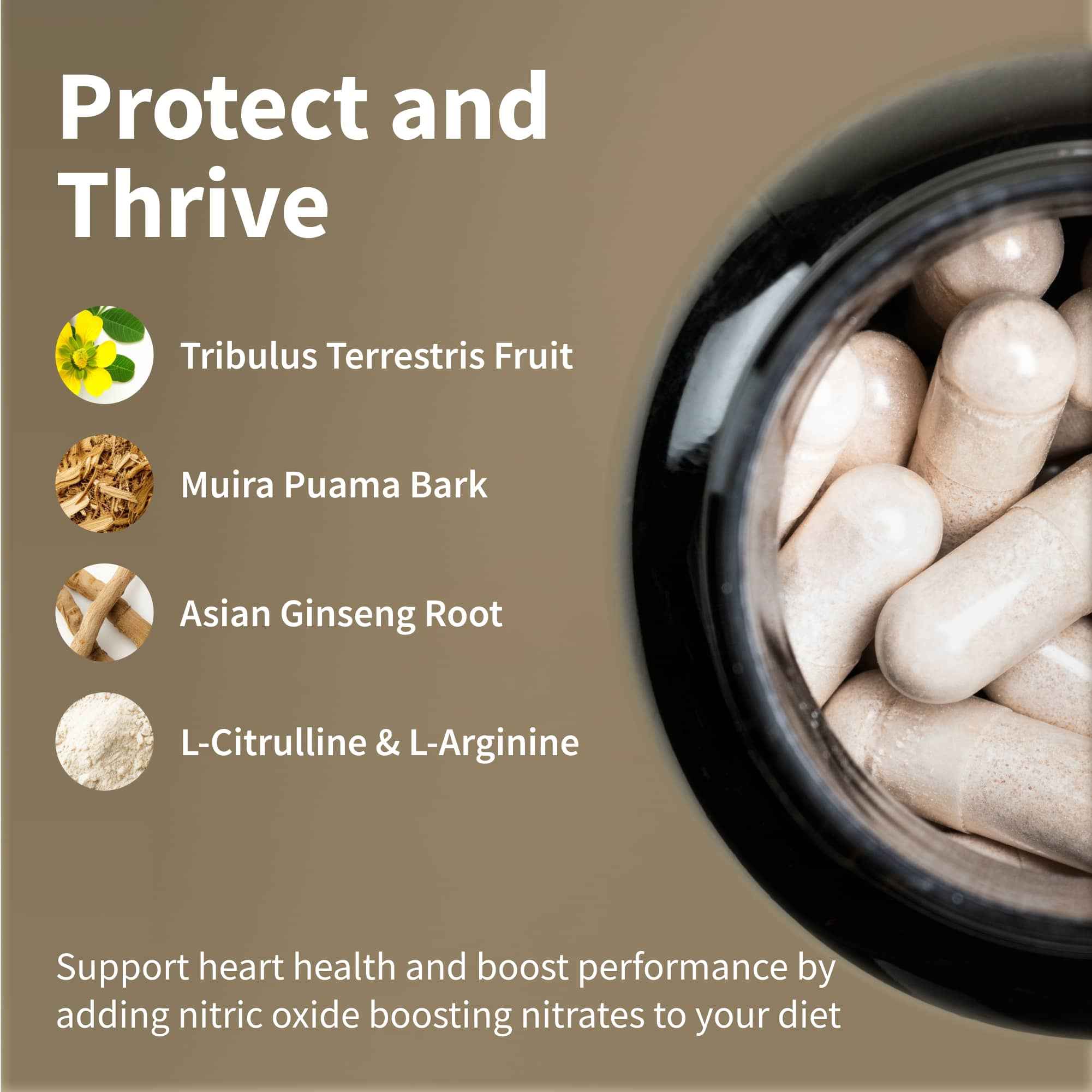 Ultimate Heart Health Package with FREE Shaker