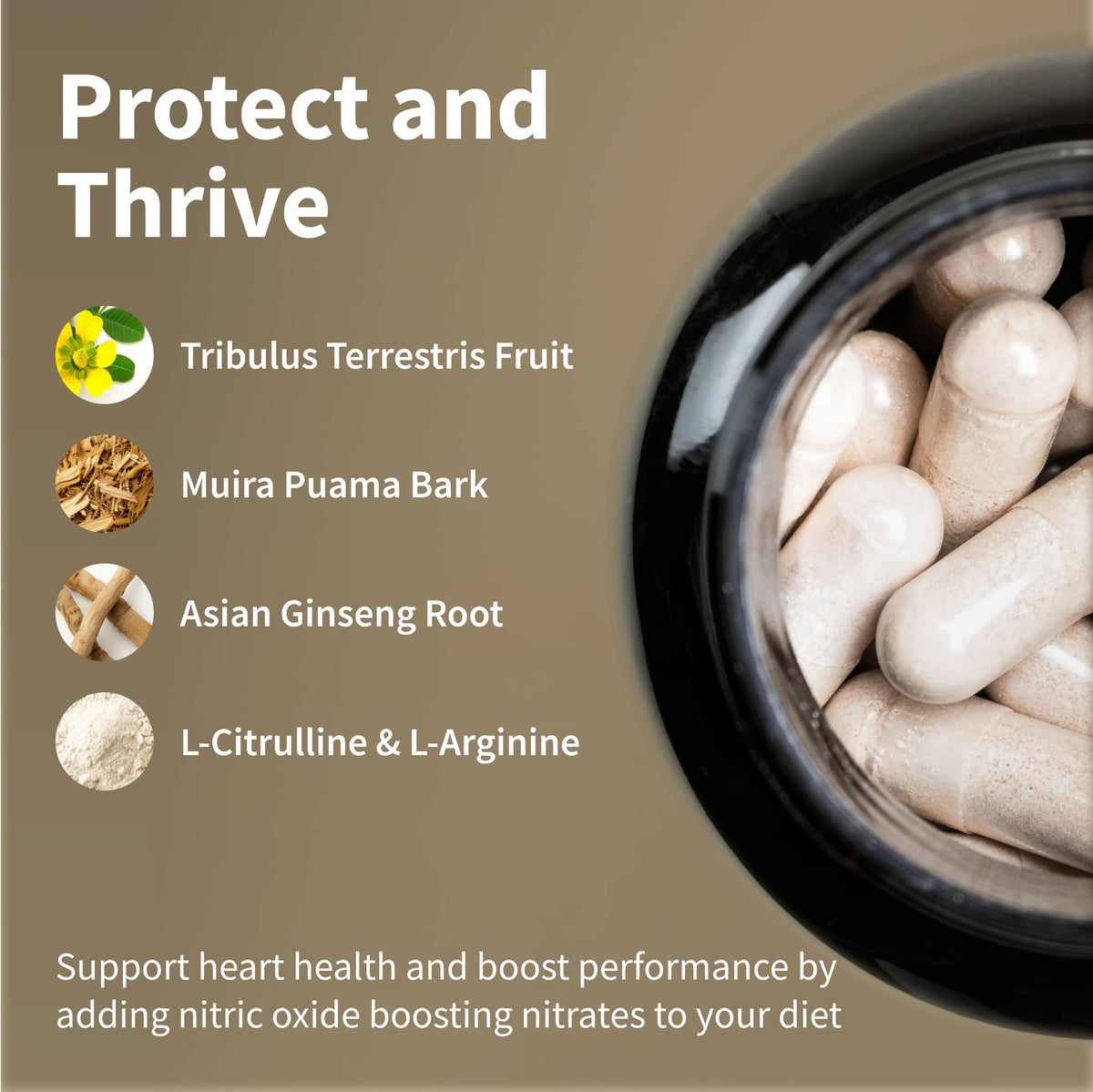 Heart Health Package with FREE Shaker - DestGlow