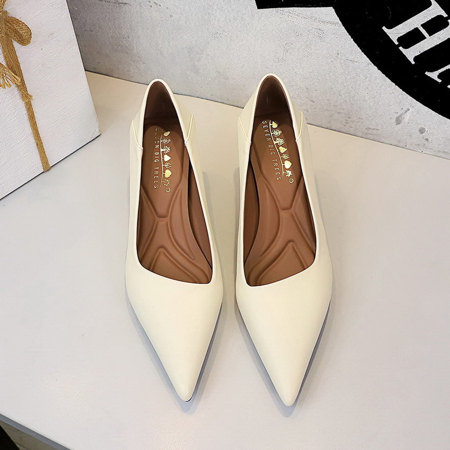 French Work Comfortable All Match Office Work Pointed High Heels Women Stiletto Heel Non Wear Feet Classy Shoes DestGlow