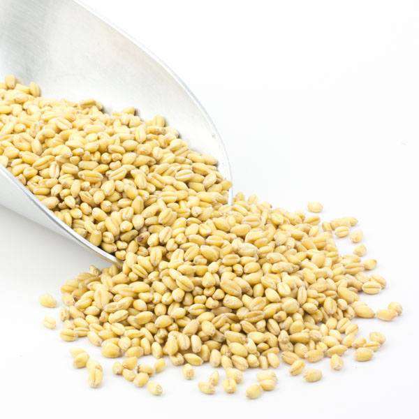 Wheat Berries, Soft White, Organic DestGlow