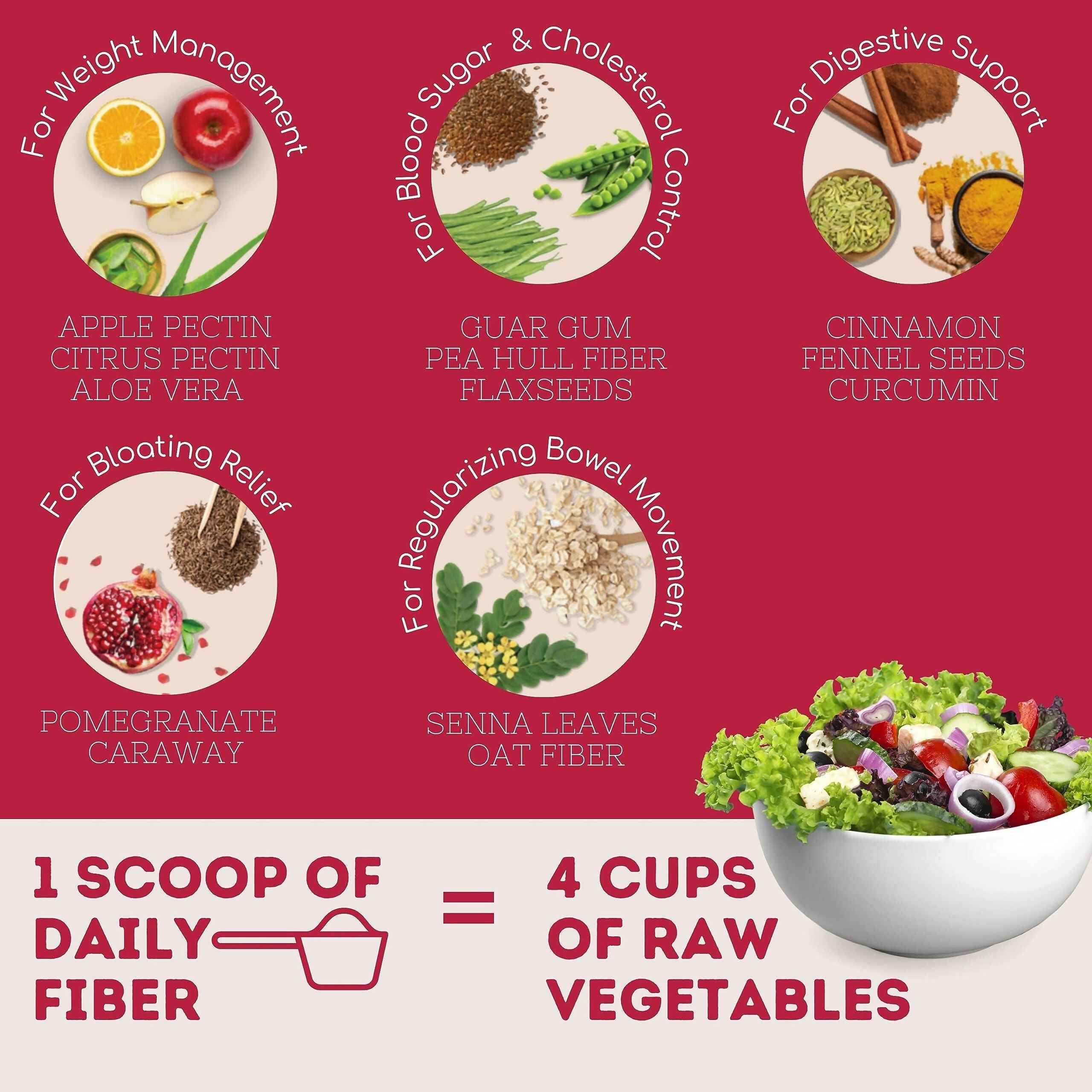 Wellbeing Nutrition Daily Fiber Powder - Vanilla Berry & Pina Colada Combo