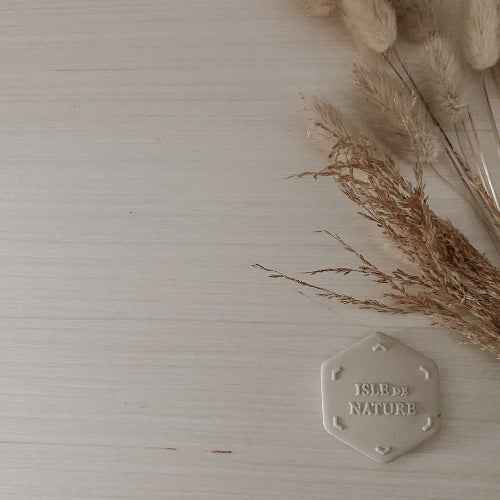 Pagua Bay Scent Coin by Isle de Nature