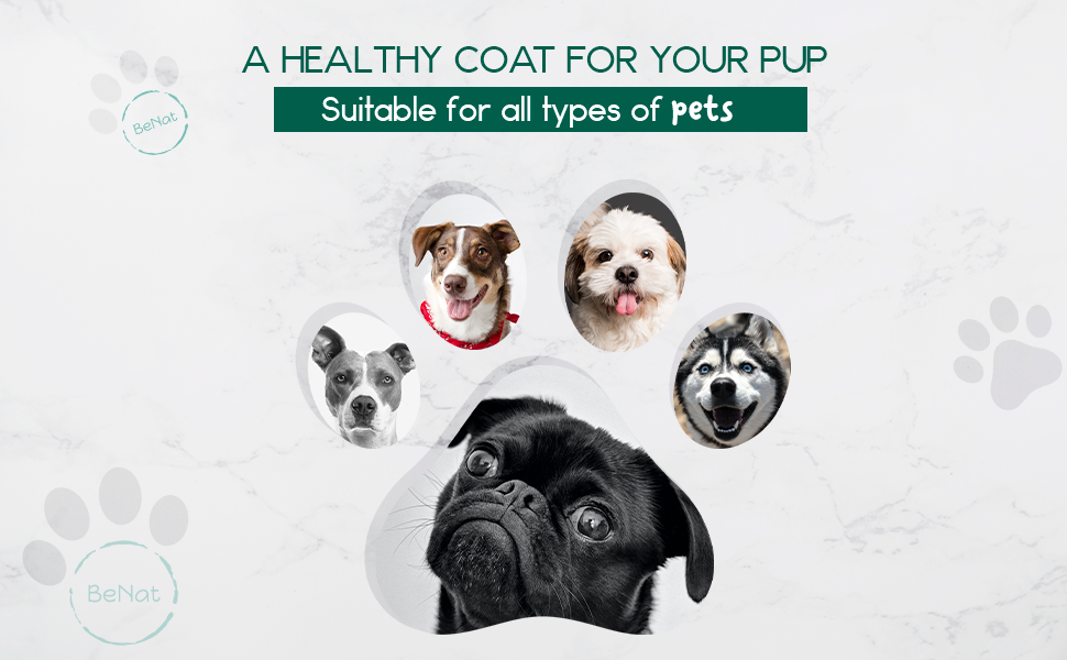 BeNat Pets. All-Natural Pet Shampoo Bar. Oat. 5.8 oz. - DestGlow