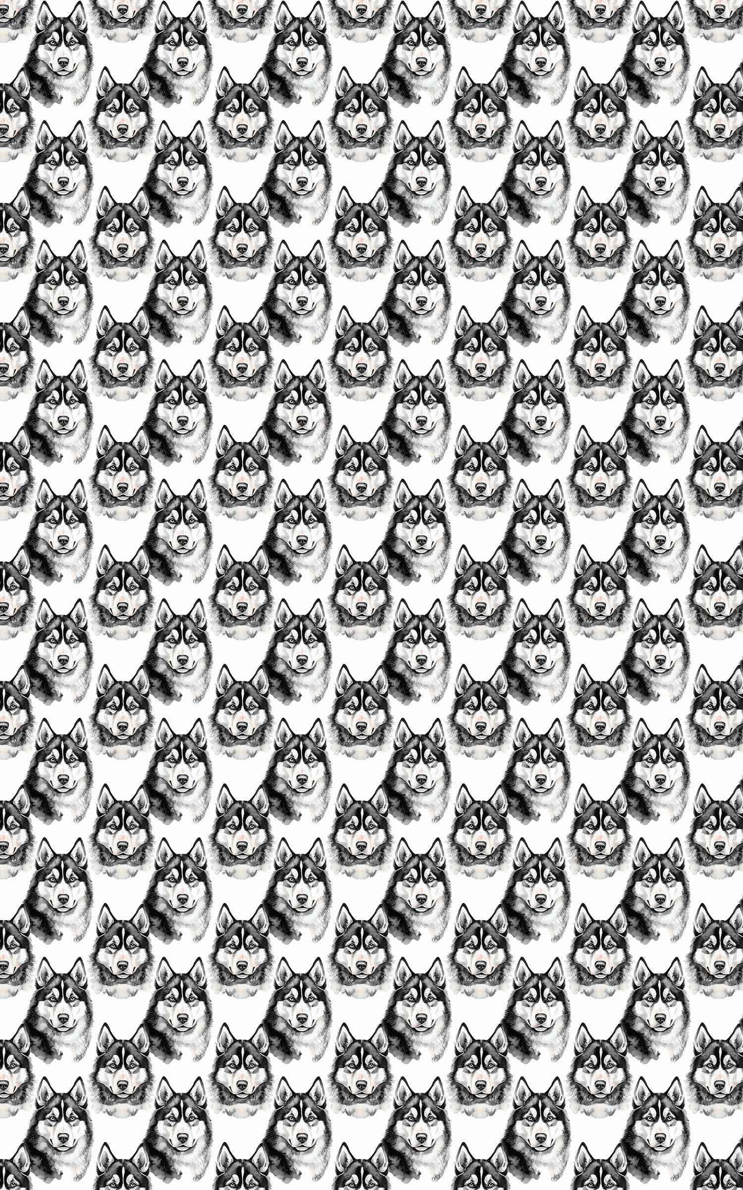 Snow Trails & Husky Tails