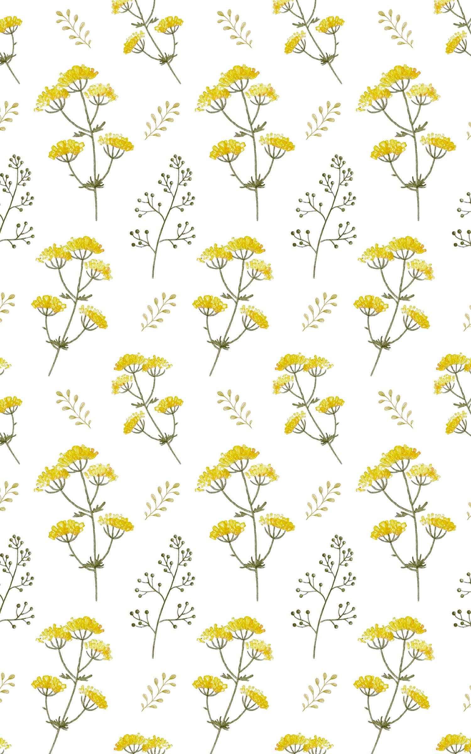 Yellow Spring Flowers