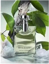 Bvlgari Pour Homme By Bvlgari For Men 3.4 oz EDP Spray by perfumesandrea