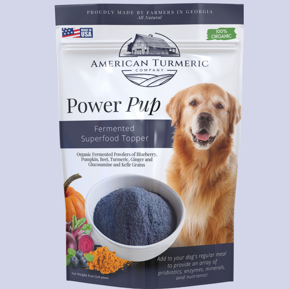 Power Pup Fermented Superfood Turmeric Powder for Pets by America&