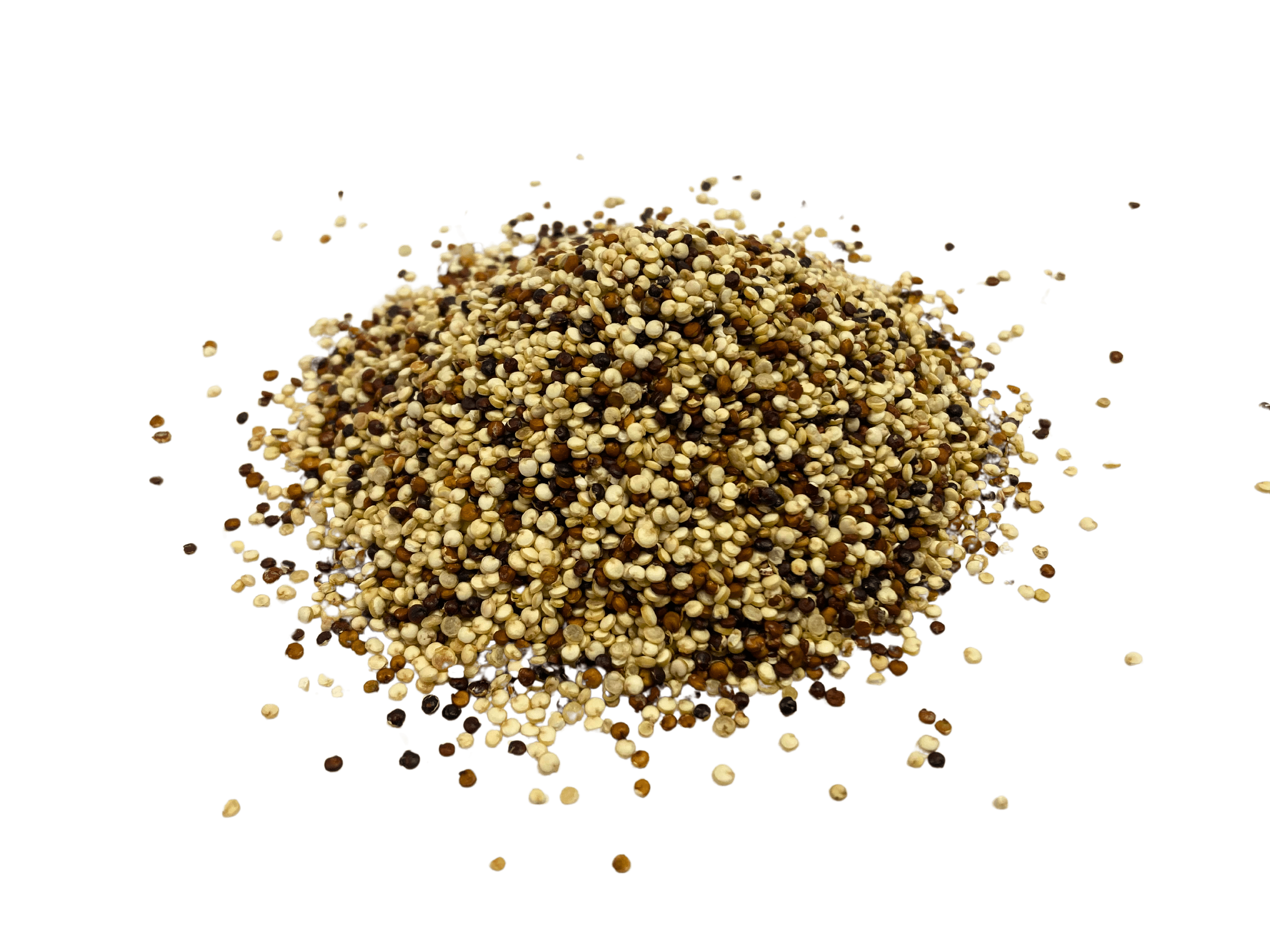 Tri-Color Quinoa, Organic DestGlow
