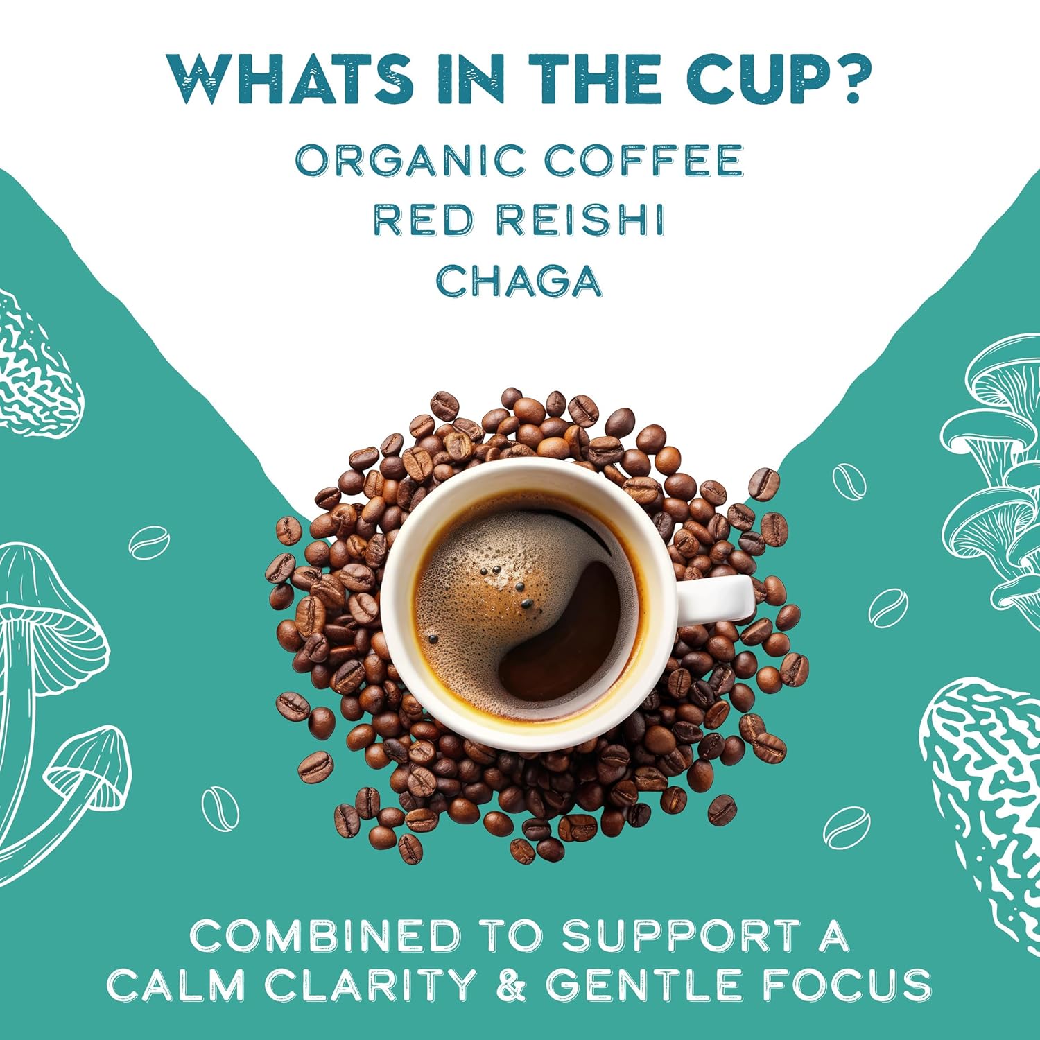 Decaf Red Reishi Chaga Mushroom Coffee Adaptogens Calm Focus