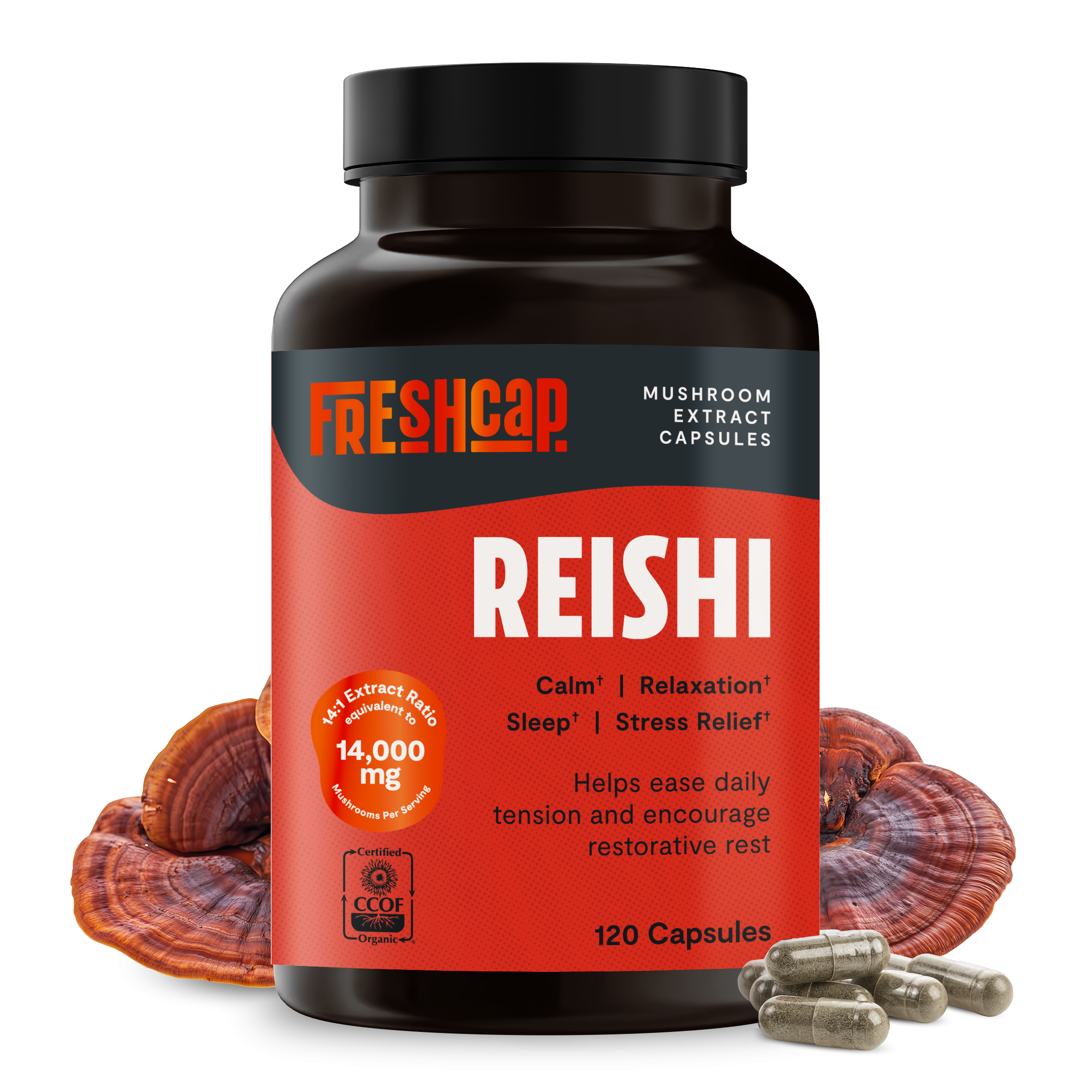 Reishi Mushroom Extract Capsules