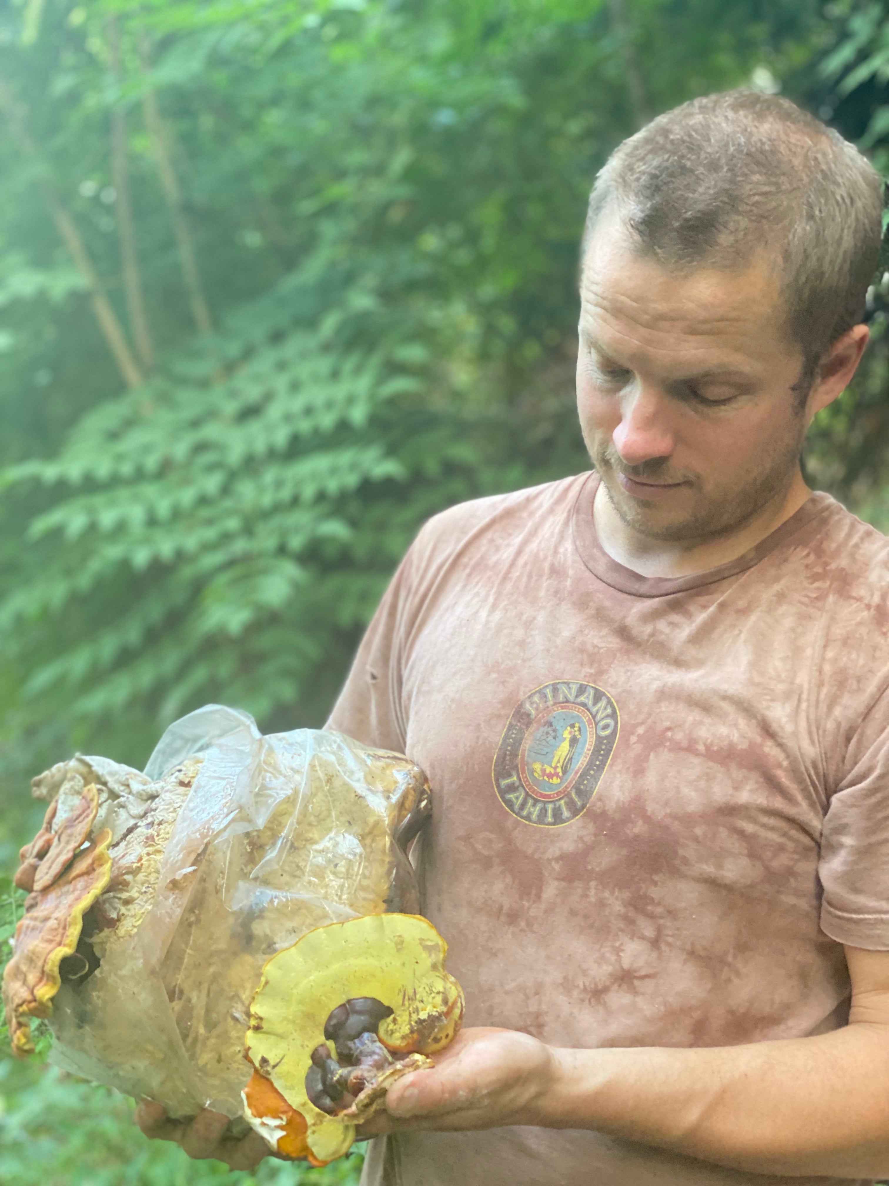 Reishi Dual Extract Tincture