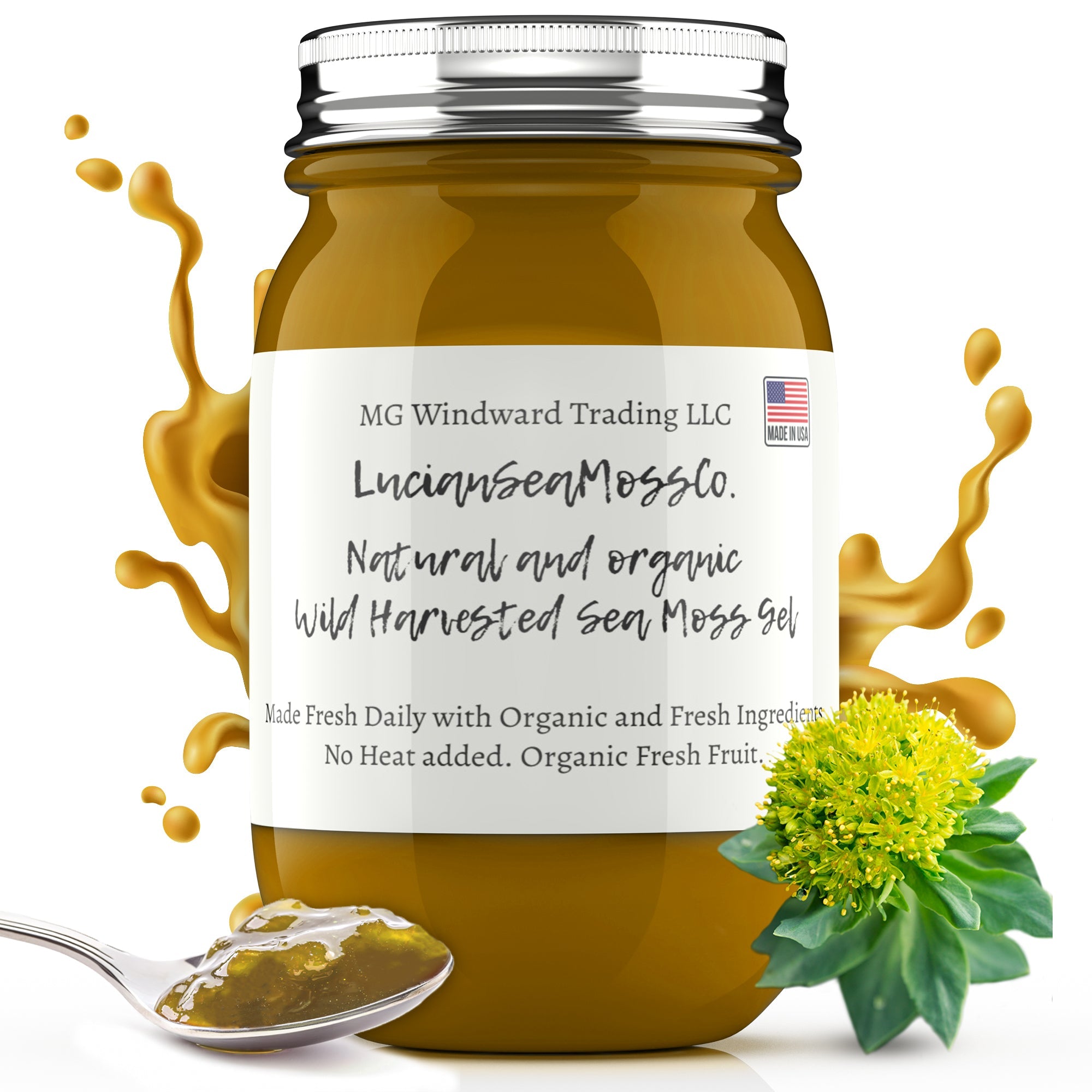 Rhodiola Infused Organic Sea Moss Gel by Seamoss Global