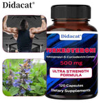 Didacat Turkish Sterol - 500mg, Supplement, Supports Strength, Muscle Health, Balanced Energy Levels