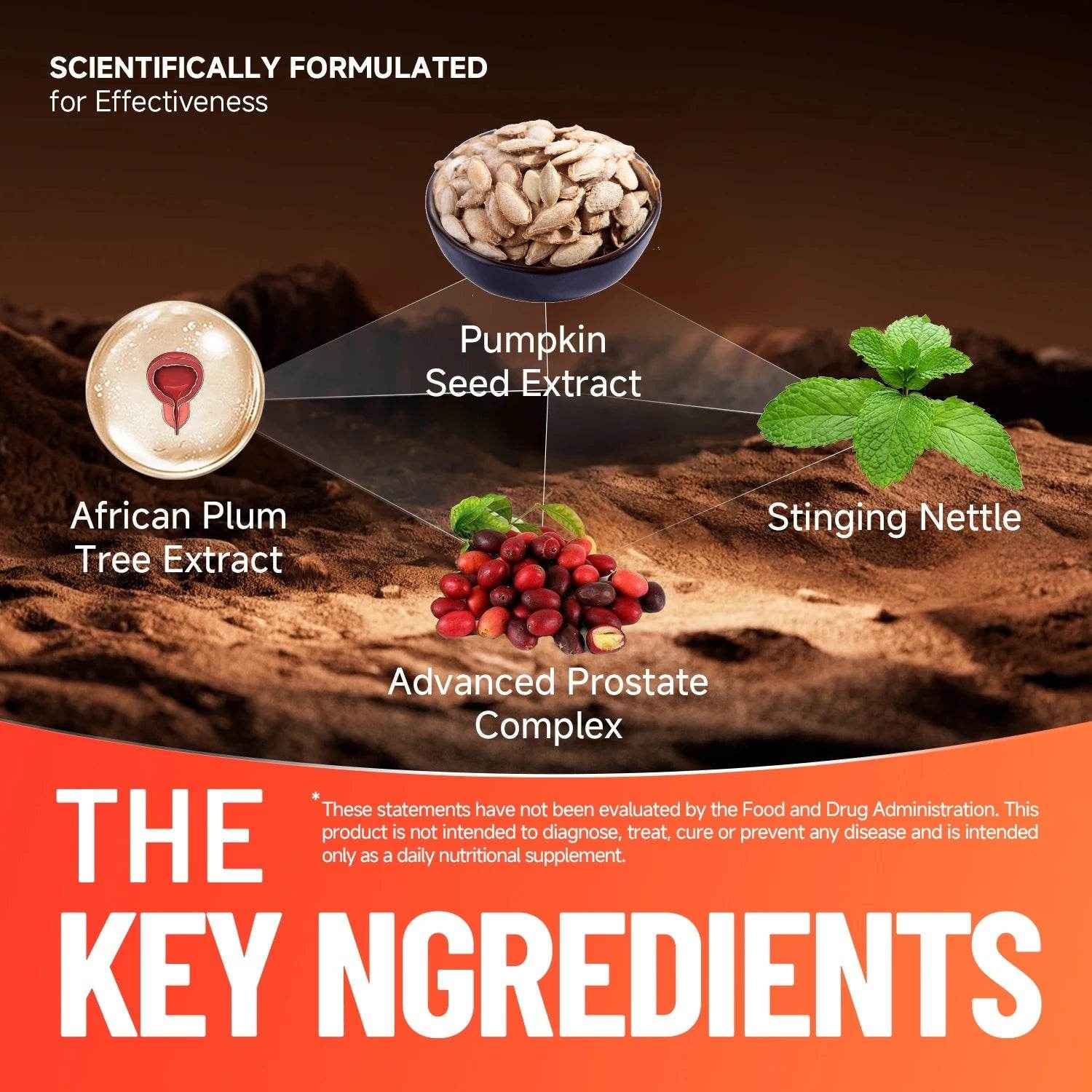 Quit mood - Advanced Prostate Support | Stinging Nettle, Pumpkin Seed Oil & African Plum Extract | 60 Caps - Men’s Health Focus